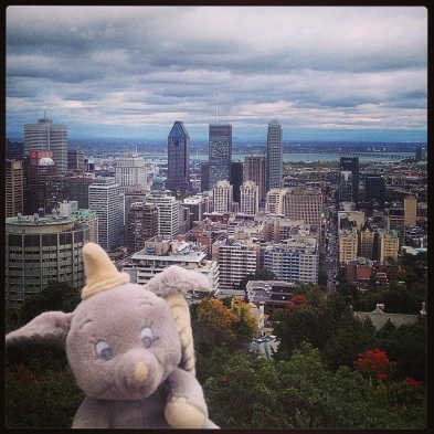 J4 - Oreilles au vent, Mini-Dumbo a fait une belle grimpette pour admirer la vue et éliminer son orgie de cacahuètes ! ;-) - Belvédère du Mont Royal